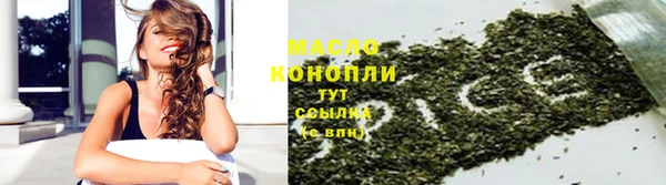 сатива Магадан