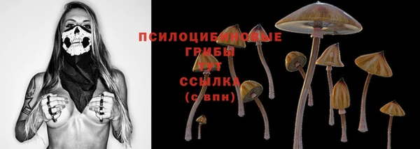 гидра Чекалин