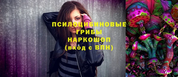 прущие грибы Майский