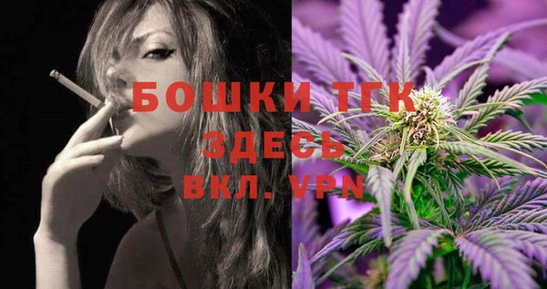 сатива Магадан