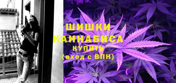 сатива Магадан