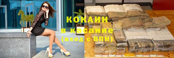 сатива Магадан