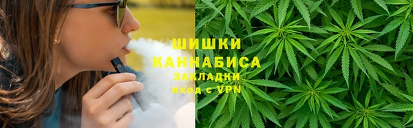 прущие грибы Майский