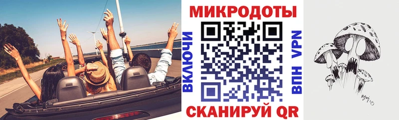 Псилоцибиновые грибы Psilocybine cubensis  Циолковский 